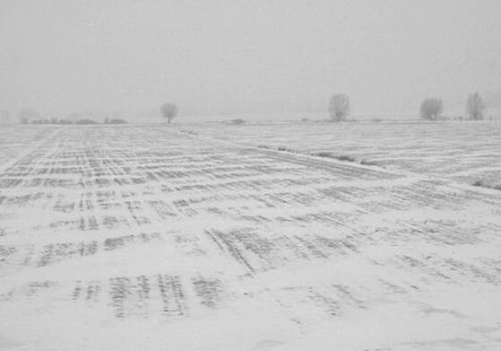 Winter from train window