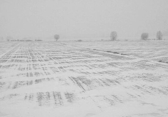 Winter from train window