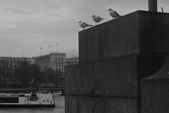 Views over the Thames