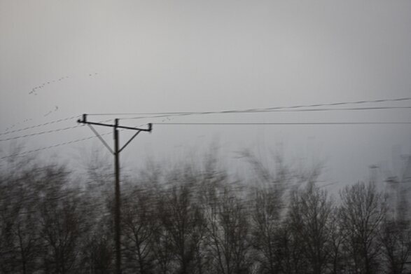 Autumn from train window